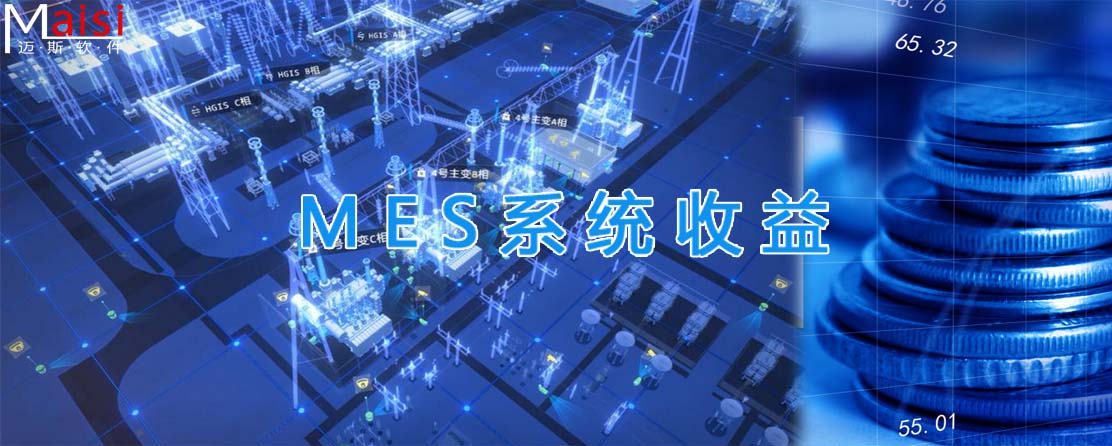 岳阳MES 0001.jpg
